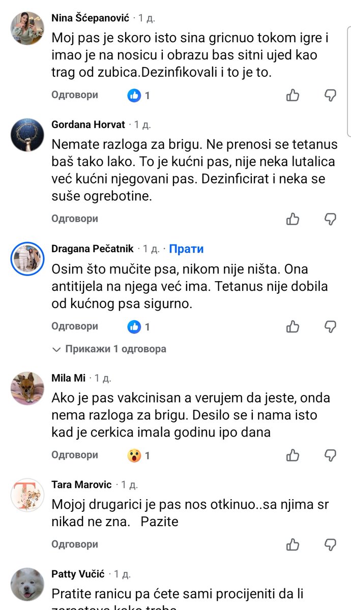 dzgb tweet media