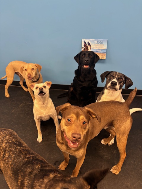 GREY2K USA Worldwide tweet media