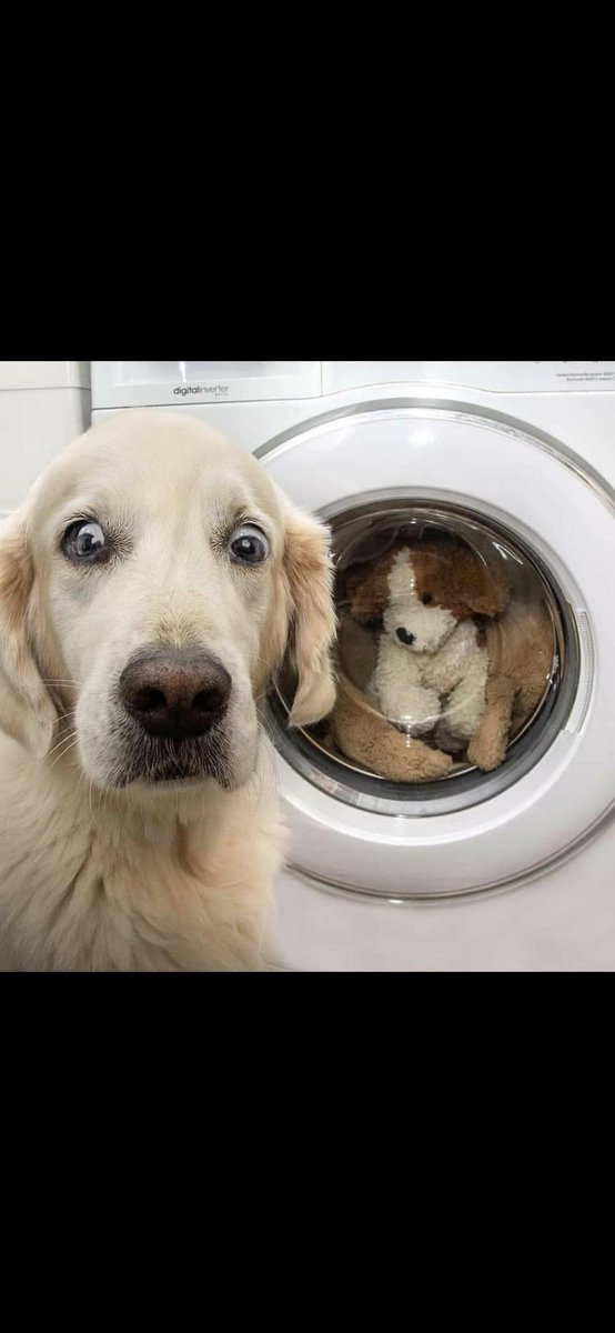 Brettles tweet media