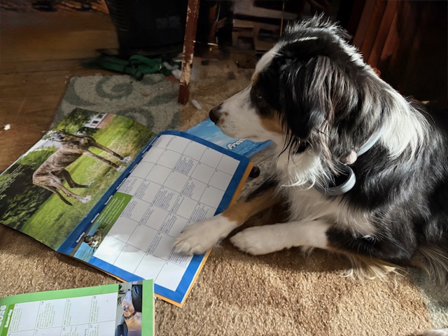 GREY2K USA Worldwide tweet media