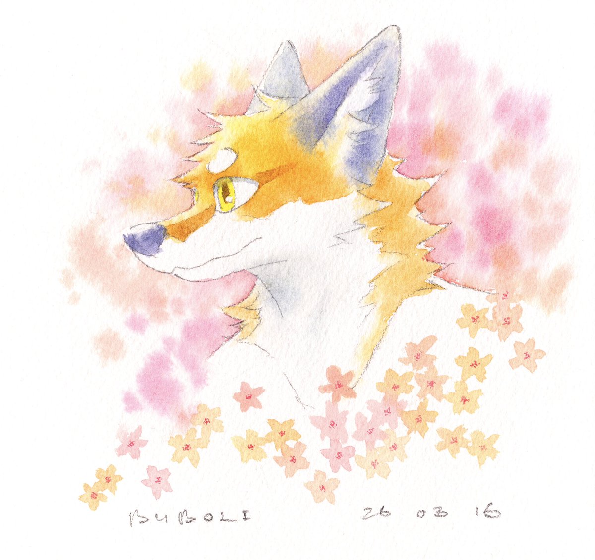 大坏狐狸 tweet media