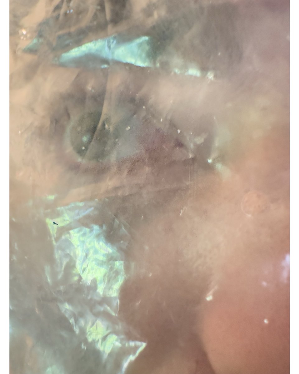 Whitney Dafoe tweet media