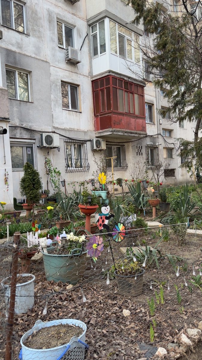 pafarist tweet media