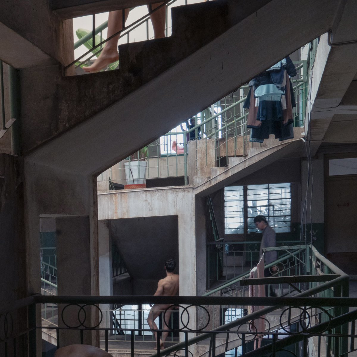 夜鹿温良 tweet media