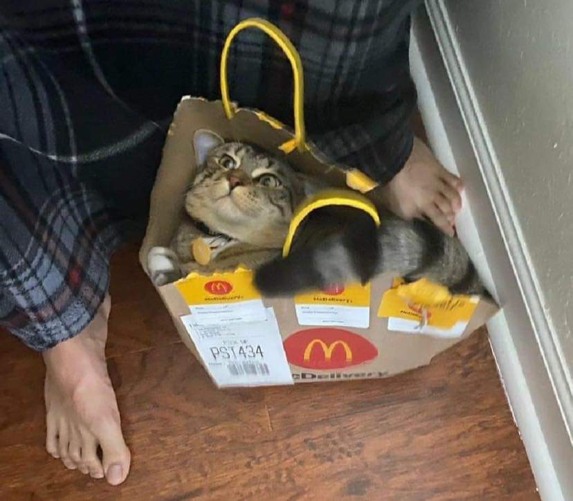 -Y Eso?
-Venía de regalo.