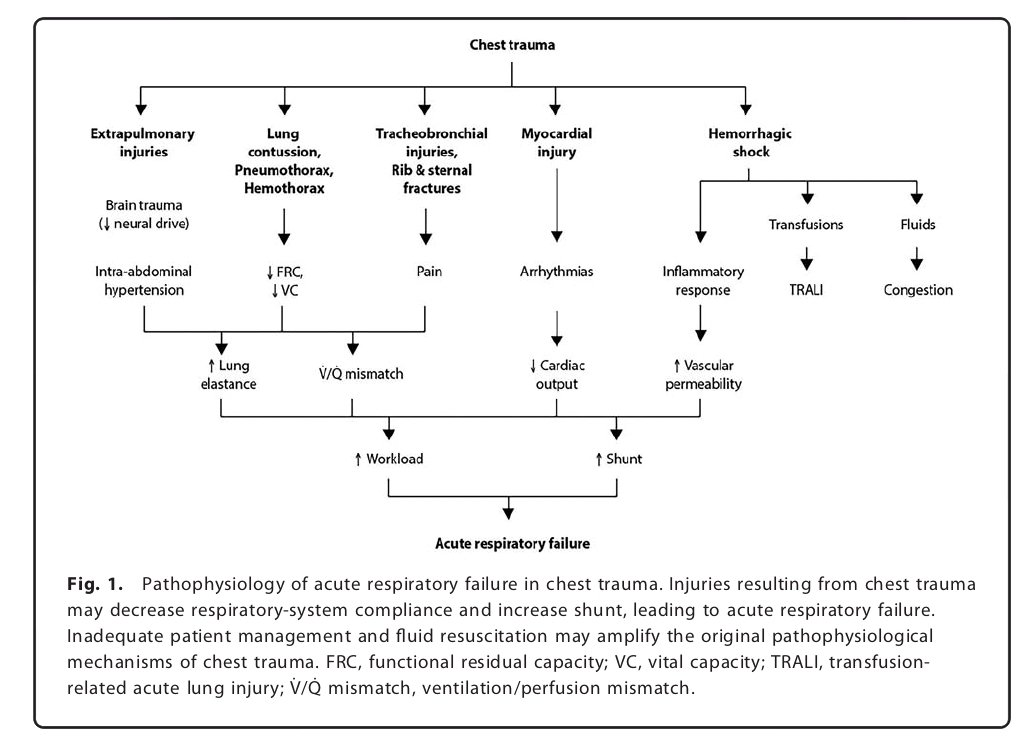 UCI de Trauma y Emergencias. Hospital 12 Octubre tweet media