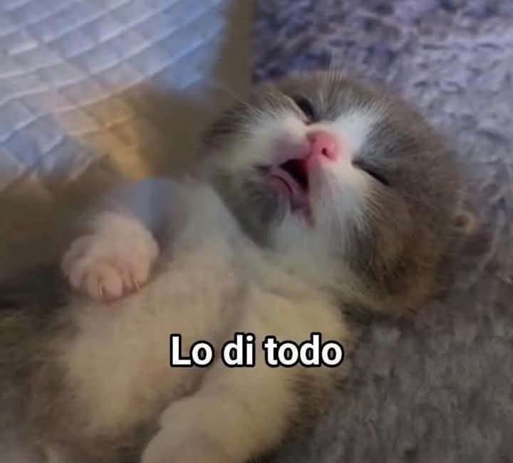 Baruc // Ñ tweet media