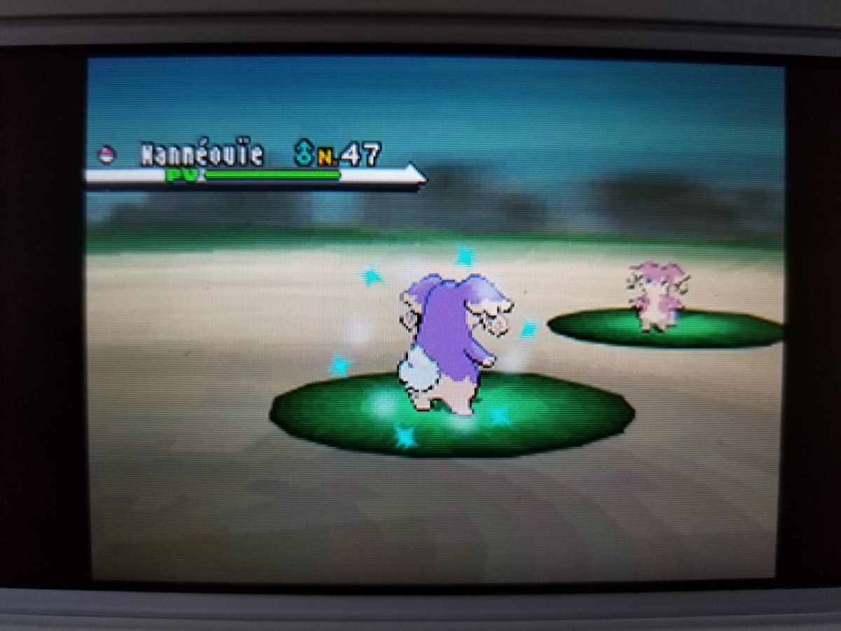 DNedobi's tweet photo. Nanméouïe shiny après 3961 rencontres par phenomenon sur la route 15 pour la dix-huitième étape de mon SQ Noir ! Le seul indésirable de la shasse... Emolga, ma cible principale, était à 55%... Statik se fout un peu de ma gueule... https://t.co/oFimhWU4A6