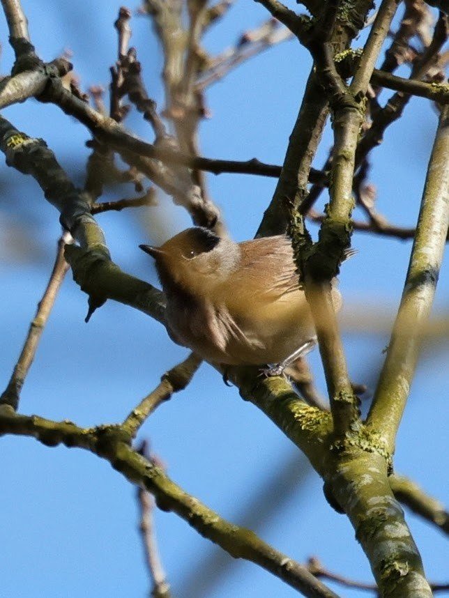 Ruth Watson tweet media