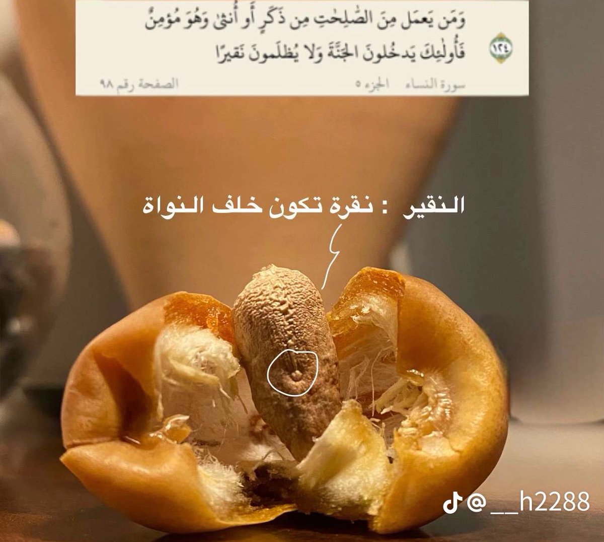 جمان tweet media