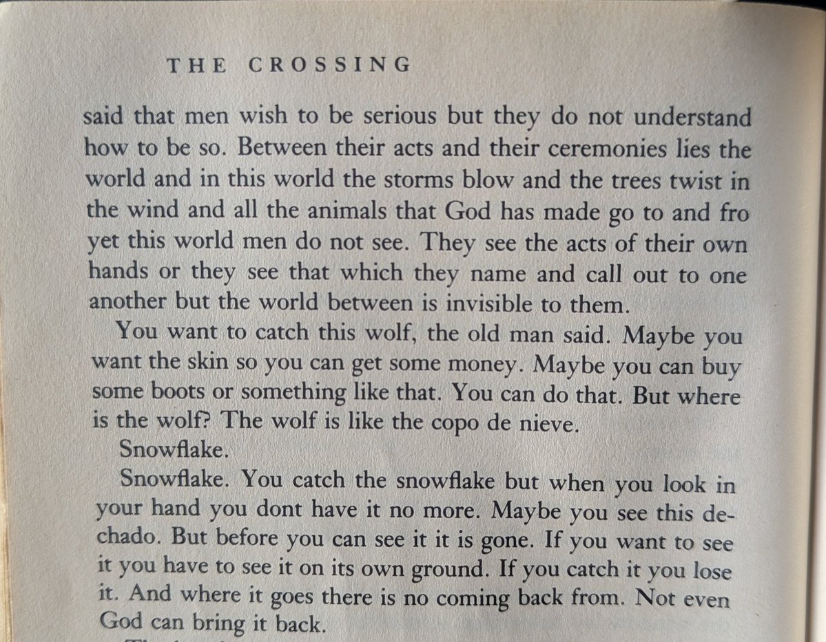 chels! ☻ tweet media