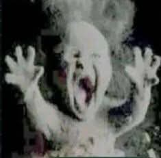 Tottenham Bolivia tweet media