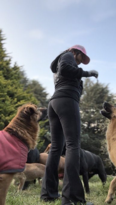 Oceanican tweet media