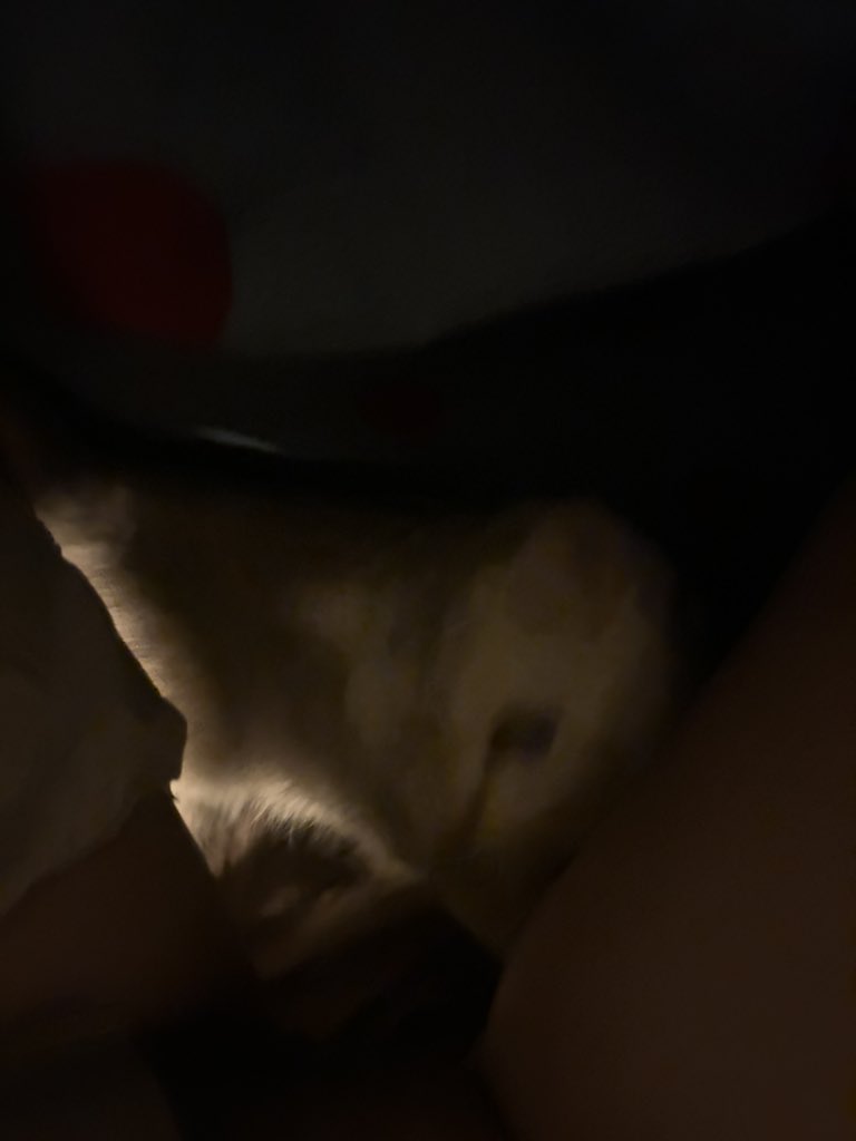 fi rs t bo x tweet media