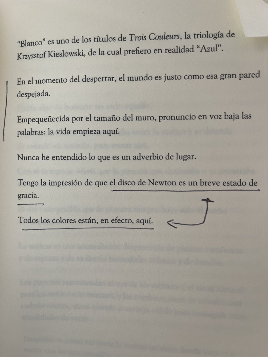 El futuro es un trazo
El futuro me mira con sus ojos alucinados
El futuro sabe escuchar jazz

–Cristina Rivera Garza
El disco de Newton
Diez ensayos sobre el color
I. Despejar

(gracias por la lectura y la sesión <a href="/bestiecilla/">Isabel Zapata</a> <a href="/barbarahoyo/">Bárbara Hoyo</a> <a href="/DesastreLibros/">Librería El Desastre</a>) paréntesis