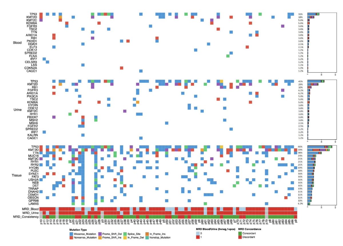 Zach Klaassen tweet media