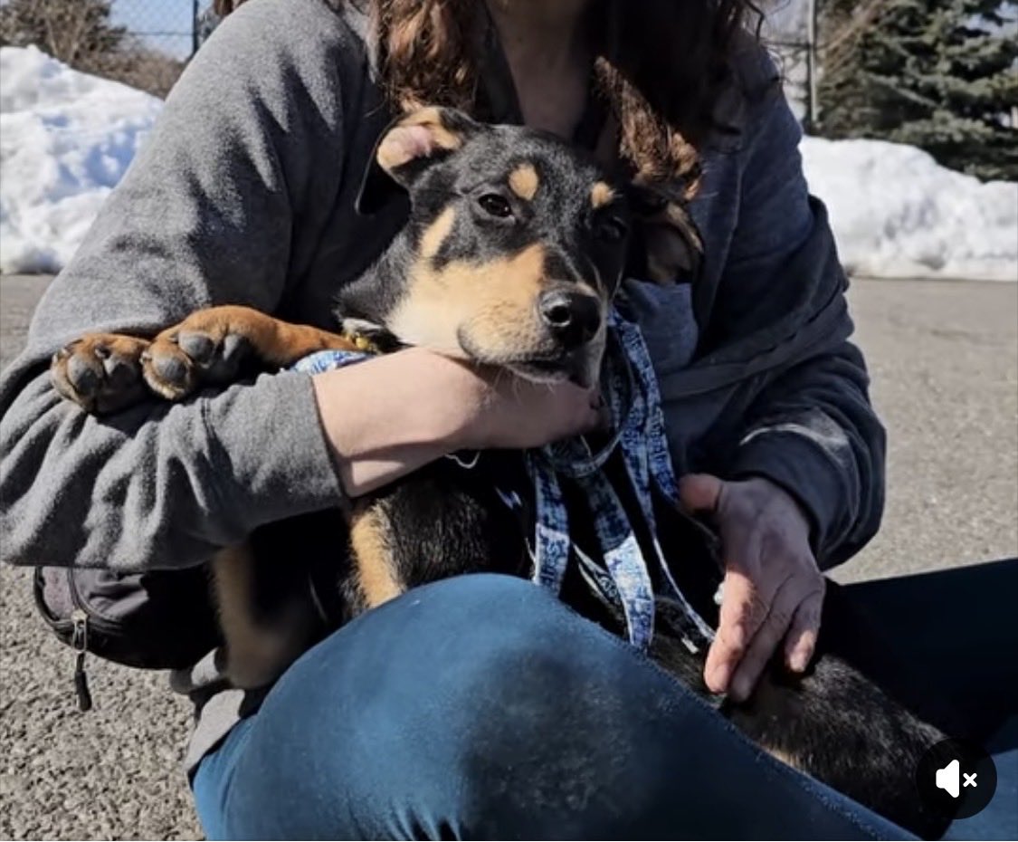 Lisa❣️920 tweet media