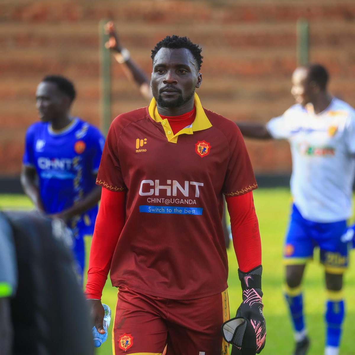 Tomstats tweet media