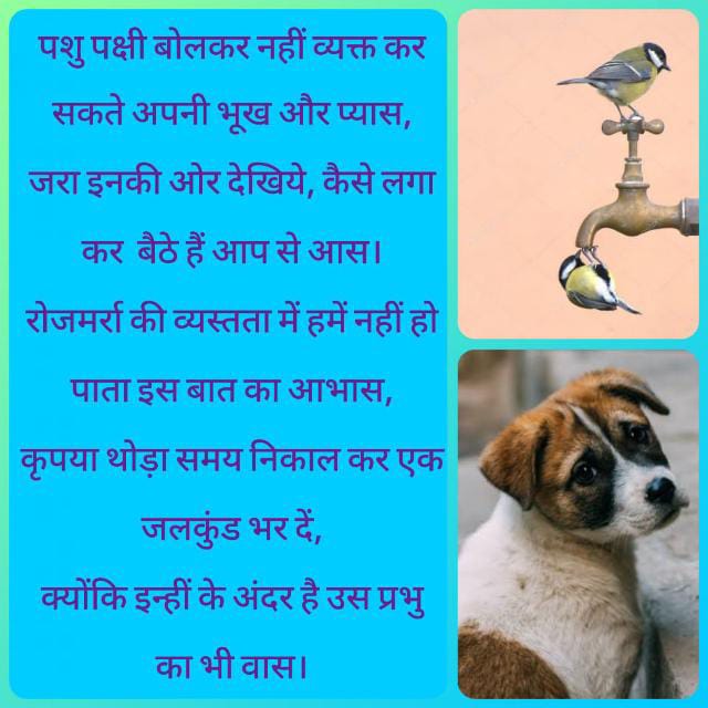 DeGupta20's tweet photo. @dogitization Sharing a thought.. https://t.co/VCuPkOlaR2
