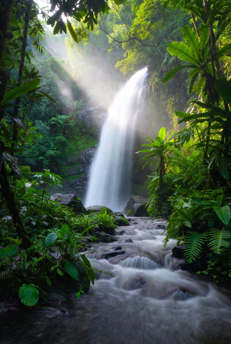 Coretta Forbes tweet media