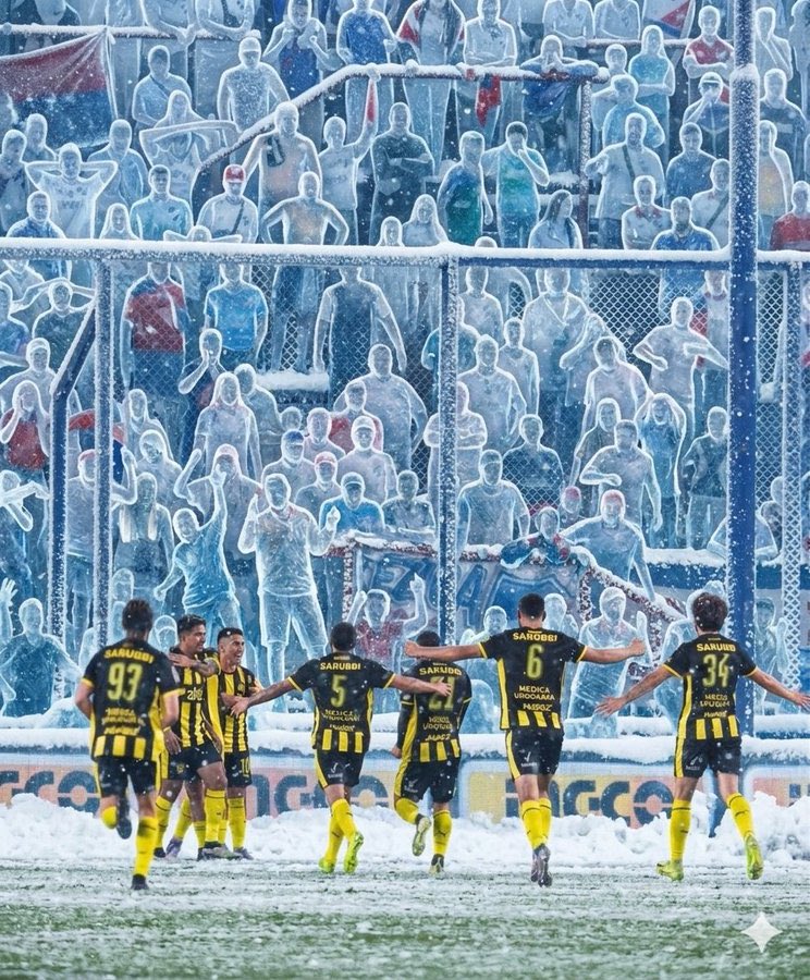 𝐏𝐞𝐧𝐭𝐚𝐜𝐚𝐦𝐩𝐞𝐨𝐧 𝐝𝐞 𝐀𝐦é𝐫𝐢𝐜𝐚 ❺ tweet media