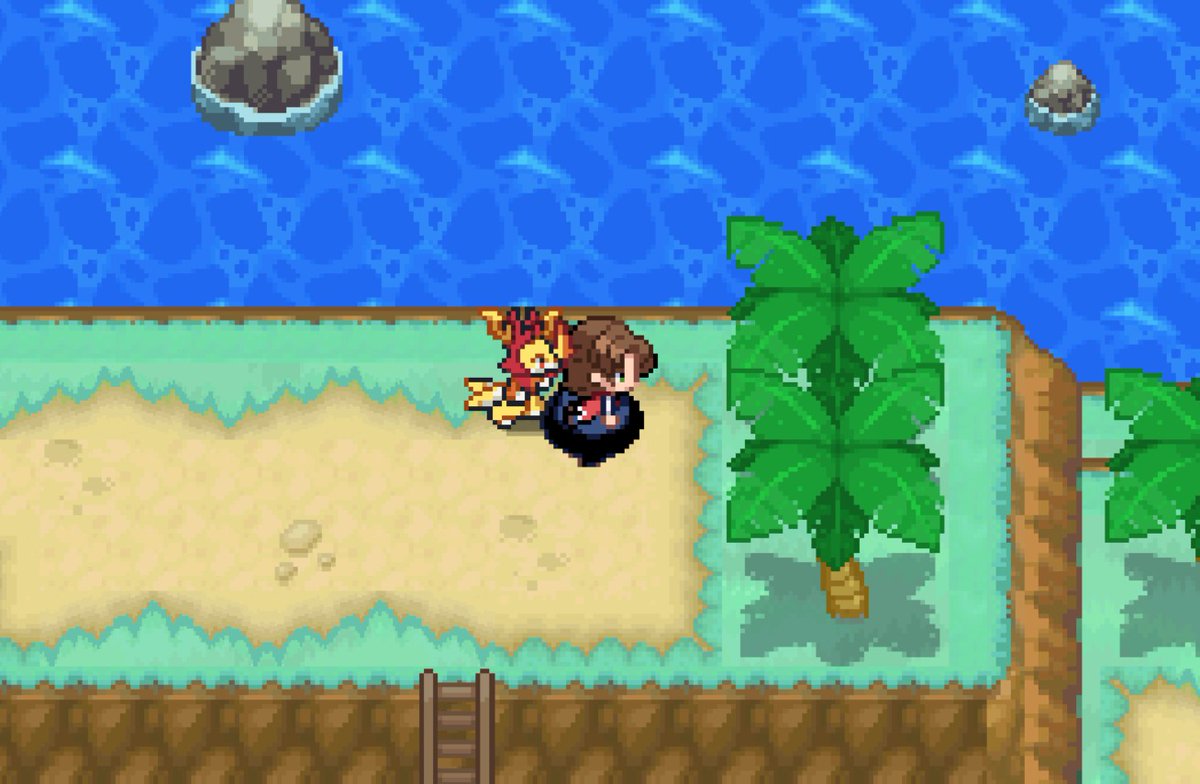 carapinga tweet media