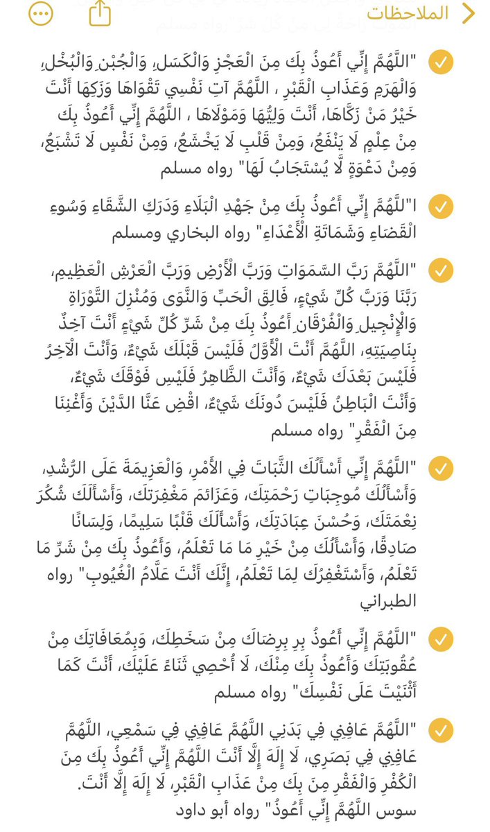 دِفء |🌿 tweet media