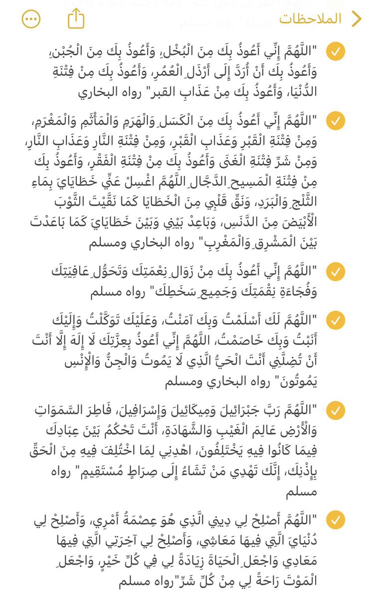 دِفء |🌿 tweet media