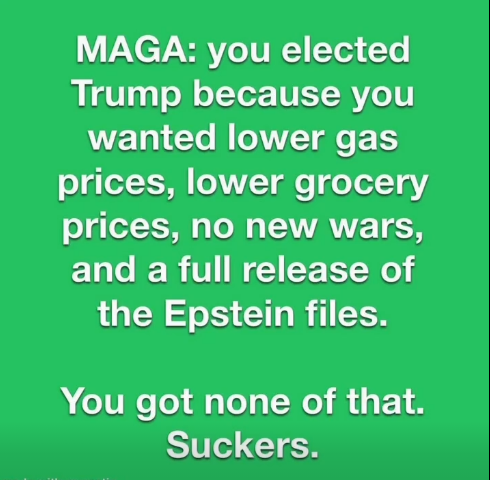 carole shirley tweet media