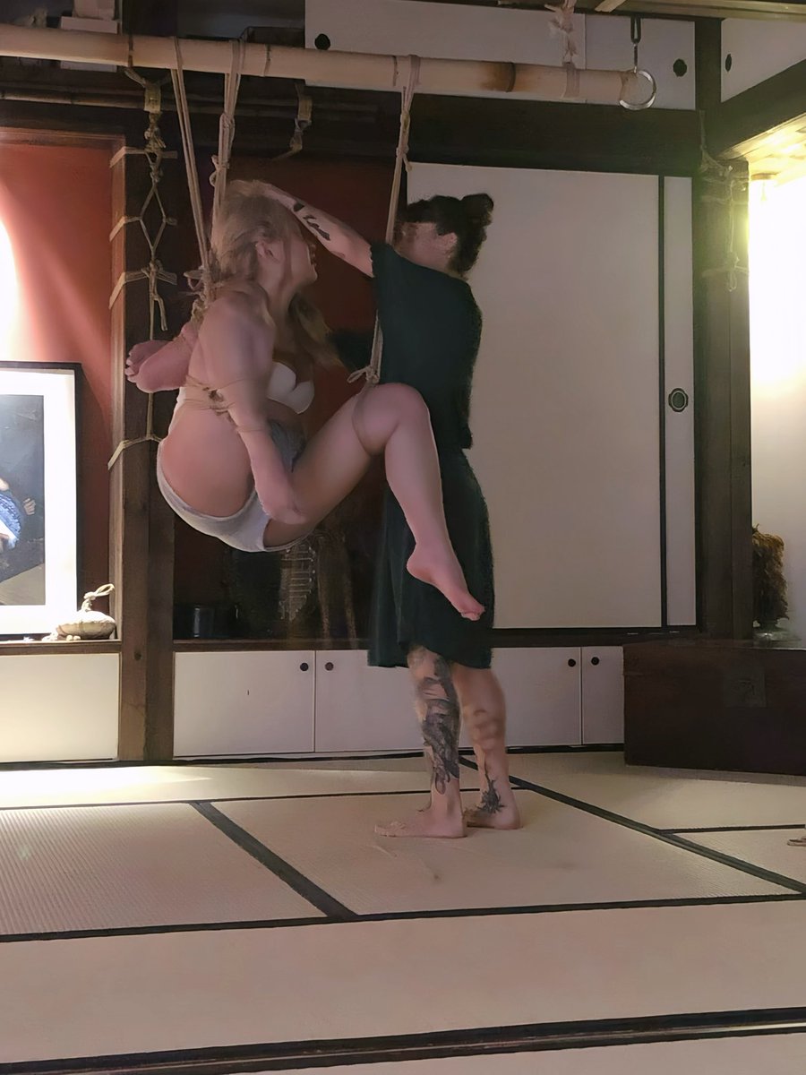 呆头鹅 tweet media