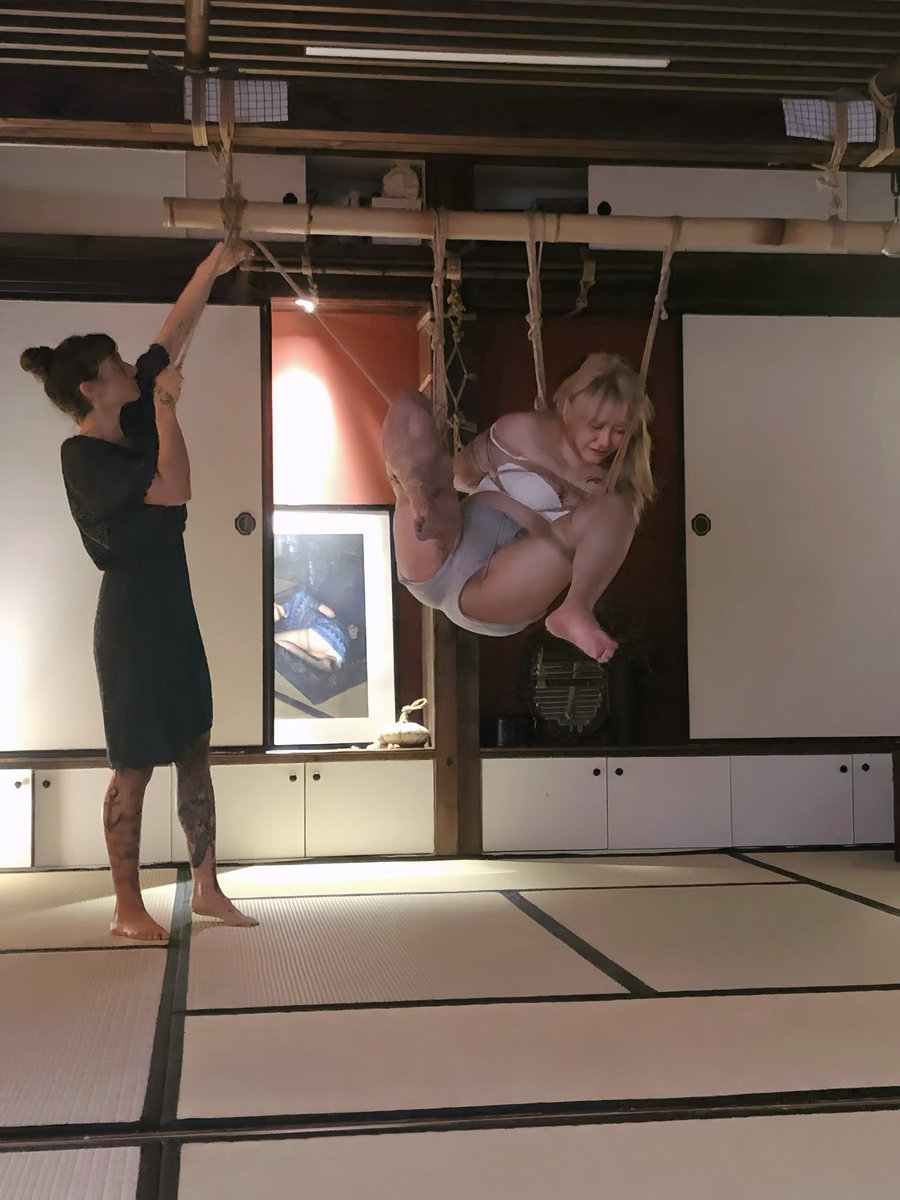 呆头鹅 tweet media