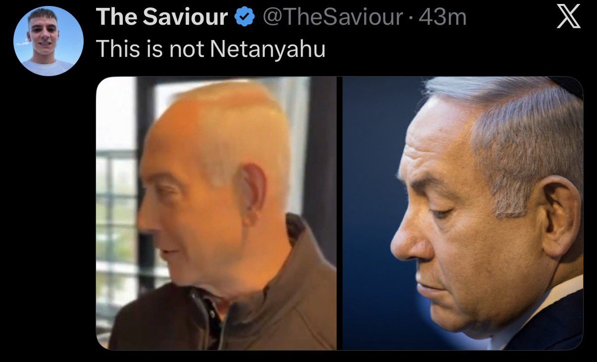 Gator Gar tweet media