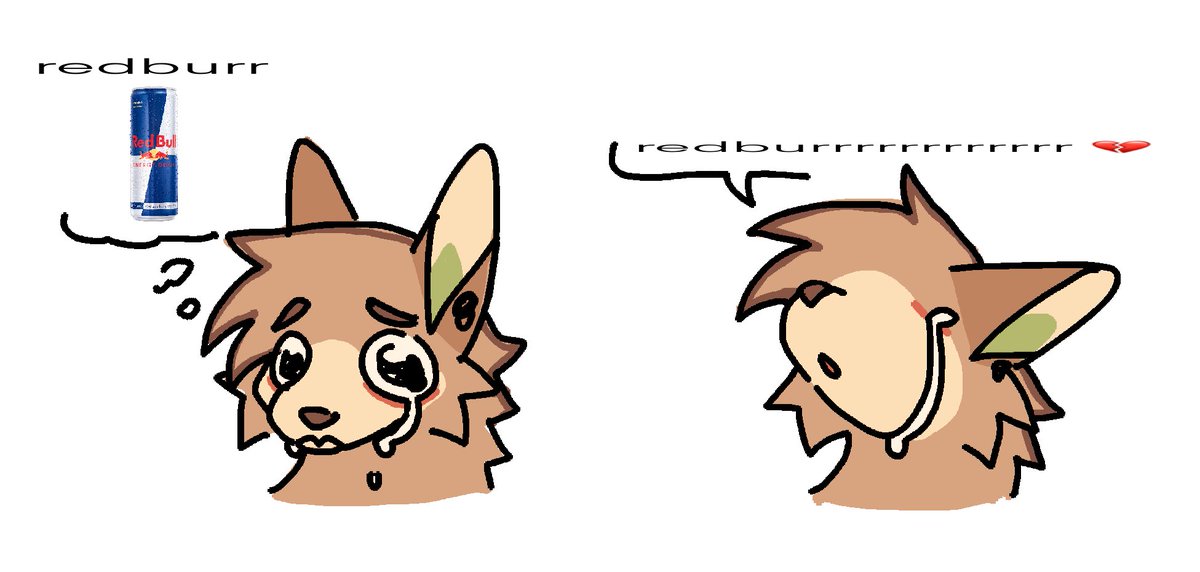 Atlas 🐾 tweet media