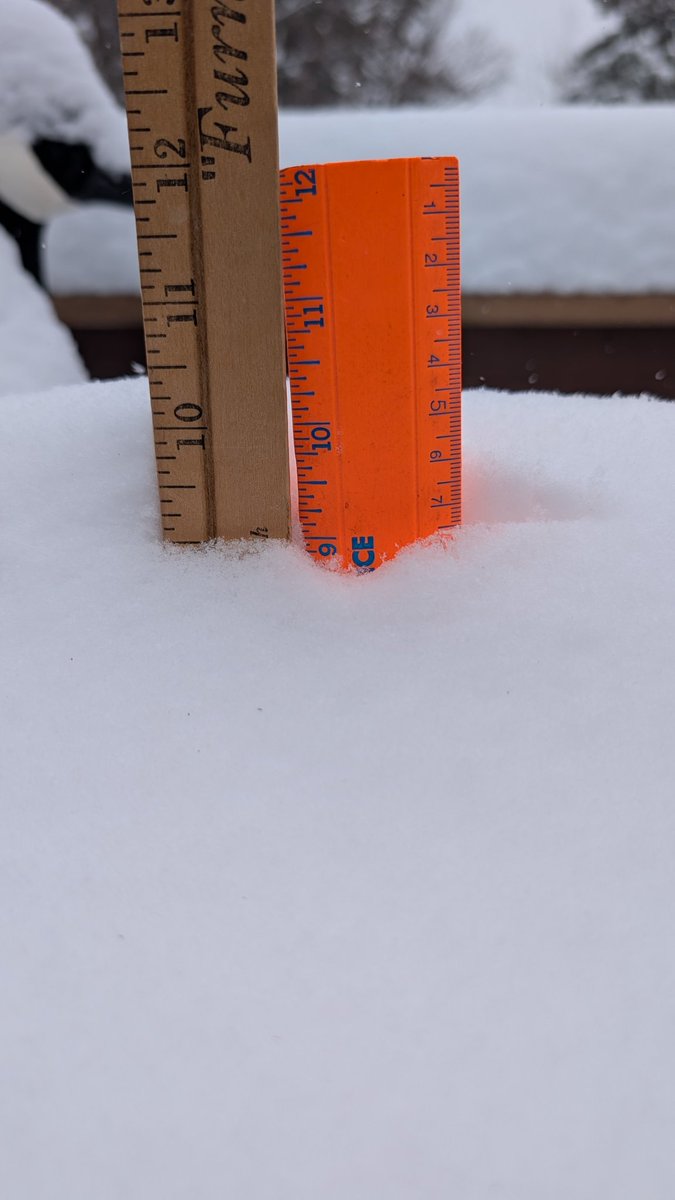 Bill Doms tweet media