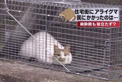 ˢᴮ tweet media