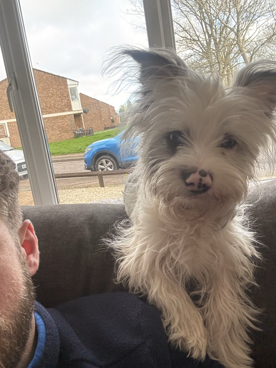 Jake Viney tweet media