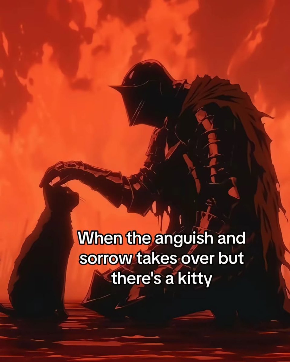 smol silly cat (@catsillyness) on Twitter photo 