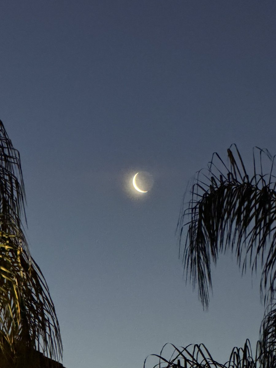 mlzema's tweet image. Good Morning From #SoCal! 
Another impression from early this morning, the waning crescent #Moon.
#SundayMorning #Sunrise #Sun #Sky #SkyPhotography #Winter #March #SundayVibes #IdesOfMarch