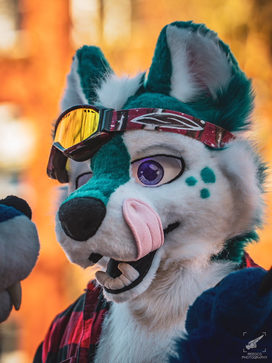 NeonGreenJellyBean 🔜Cfz 2026 tweet media