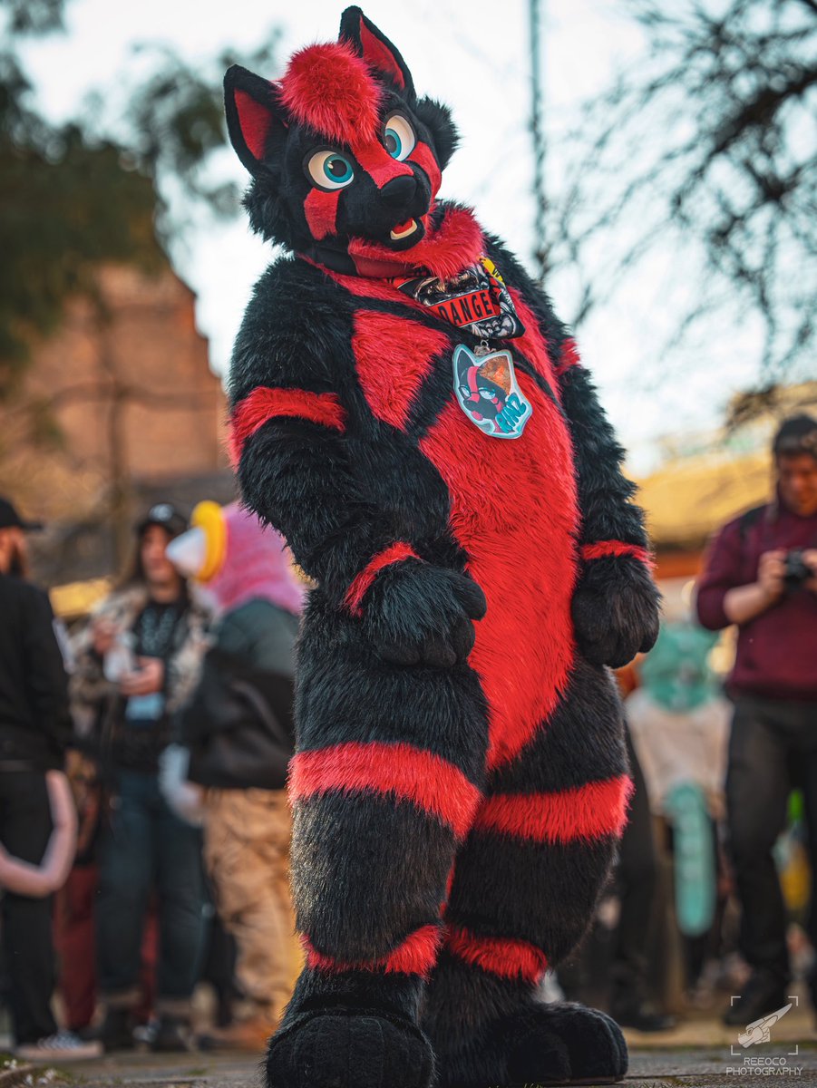 NeonGreenJellyBean 🔜Cfz 2026 tweet media