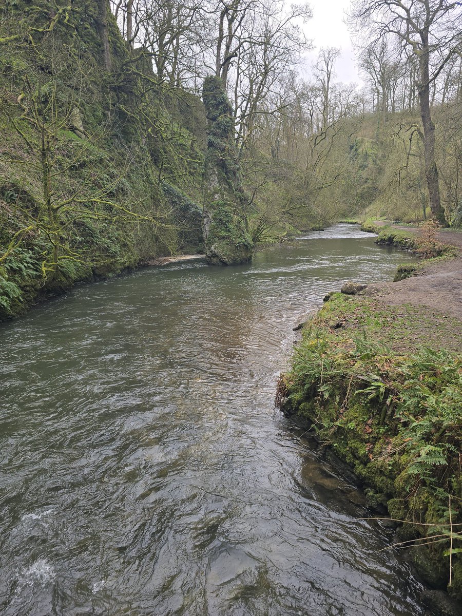 #WeDoGrass Ian tweet media