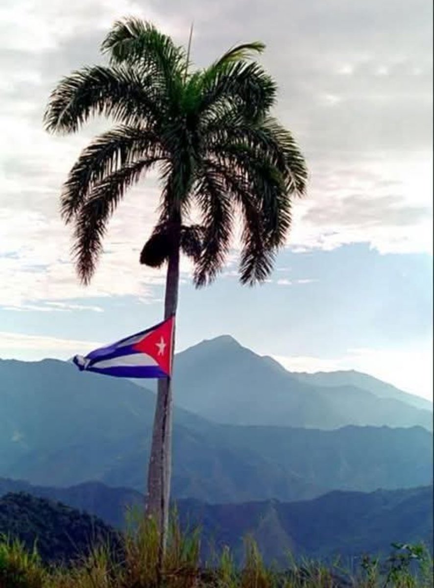 Solo le decimos al imperialismo yanqui que si quieren coger en #CubaSoberana mangos🥭 bajitos, aquí los que tenemos son los de BARAGUÁ 👇

‼️‼️No lo duden‼️‼️

#CubaEstáFirme
#DefendiendoCuba🇨🇺💪❤️