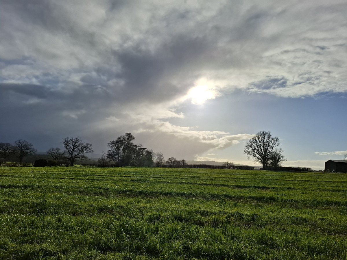 Lisa Wilde tweet media