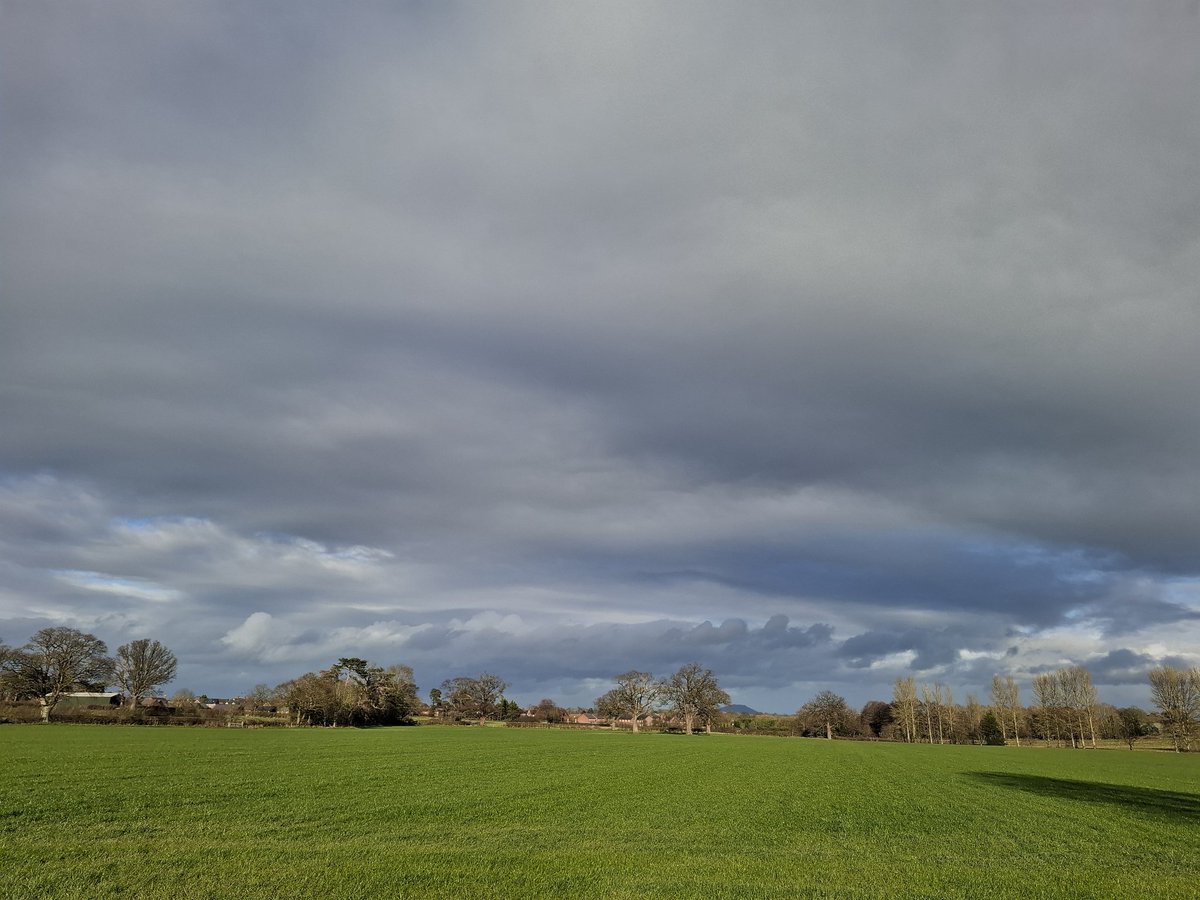 Lisa Wilde tweet media