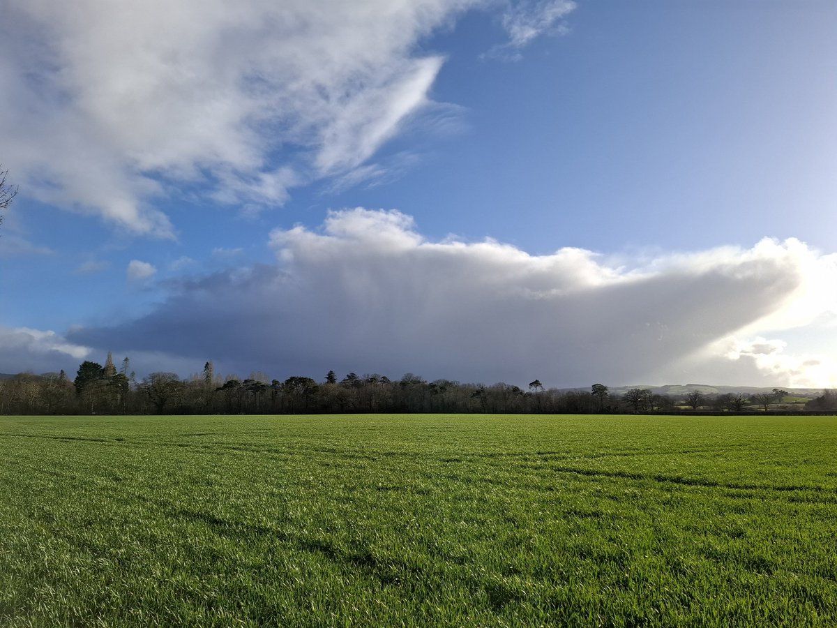 Lisa Wilde tweet media