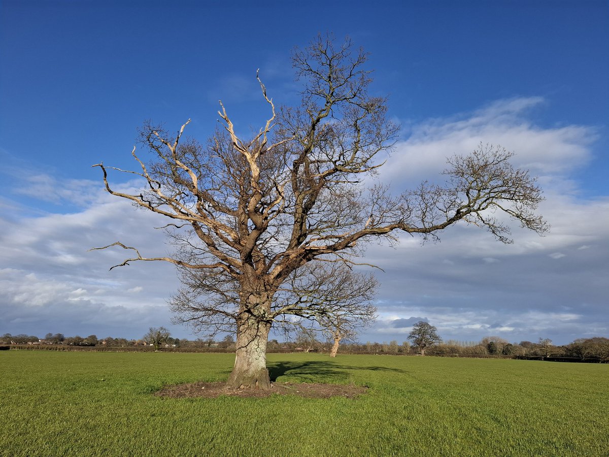 Lisa Wilde tweet media