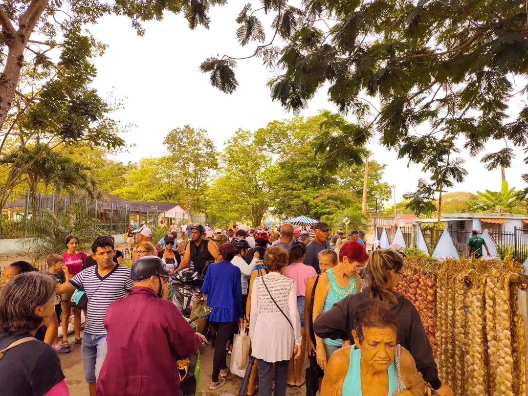 El Necio tweet media