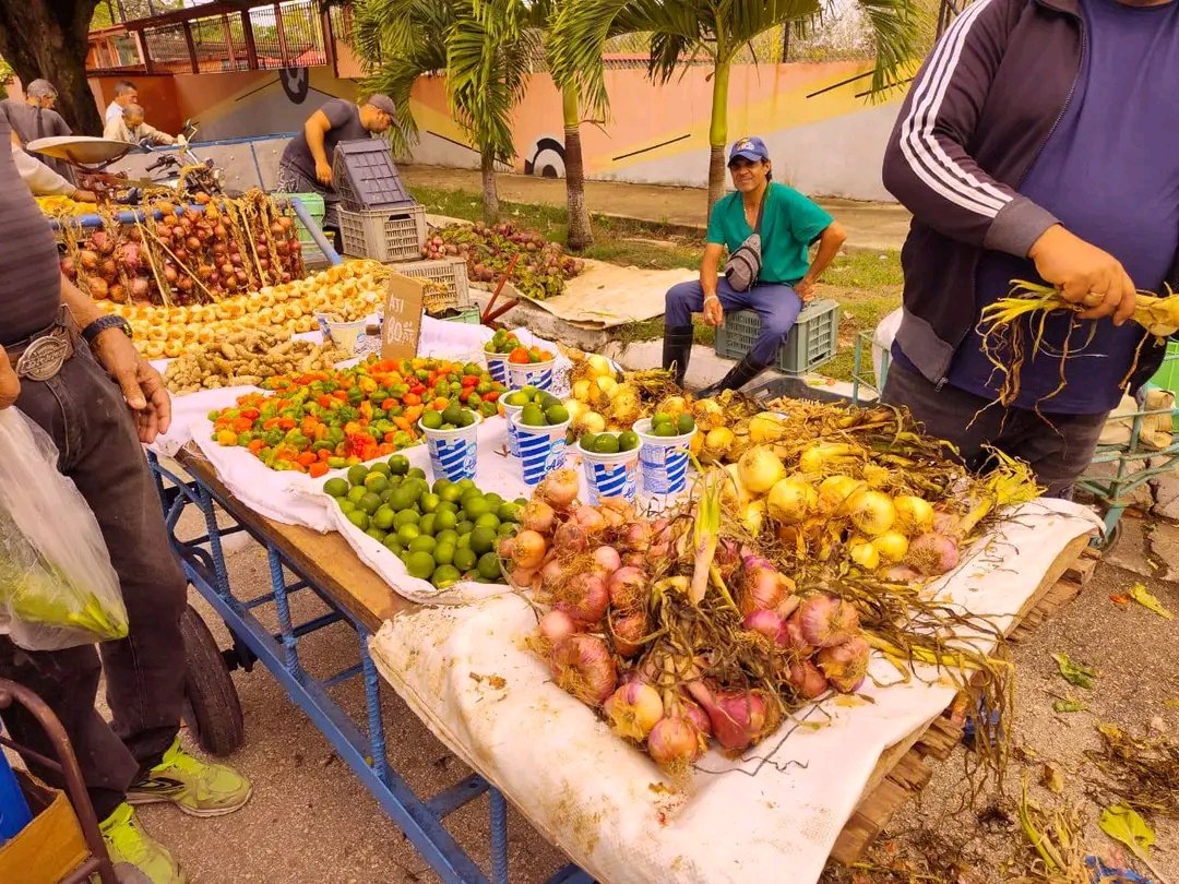 El Necio tweet media
