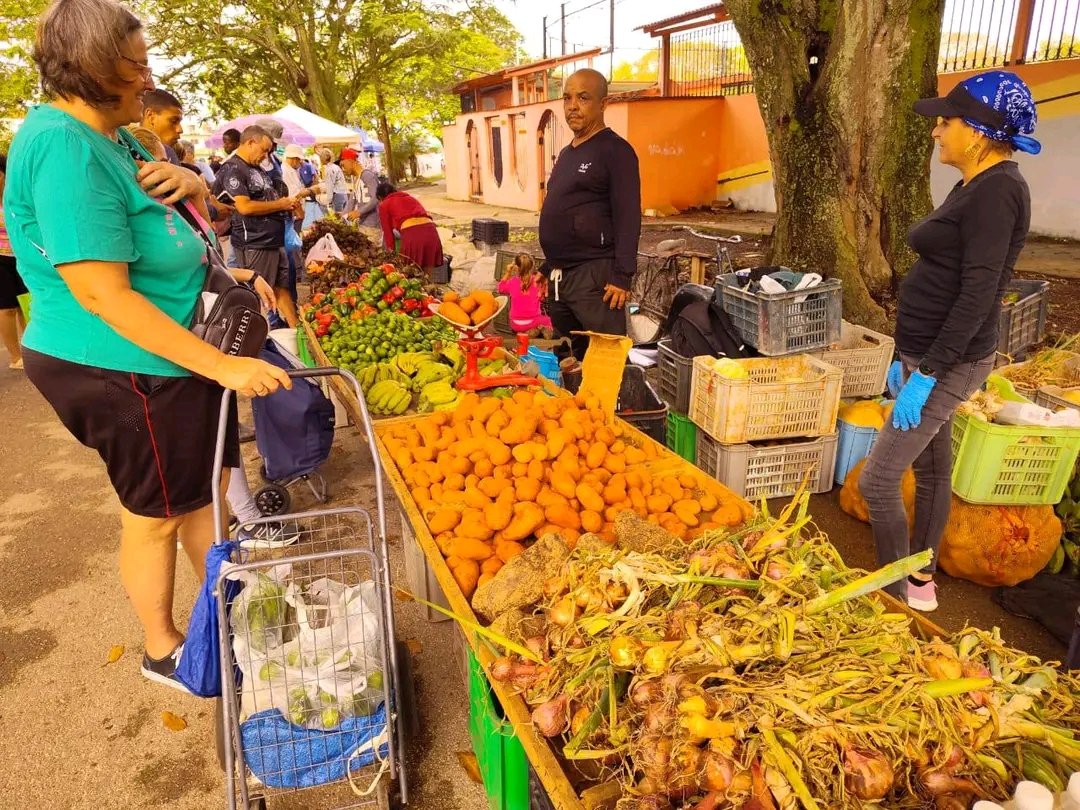 El Necio tweet media