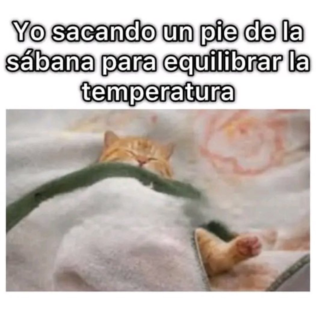 𝓜ó𝓷𝓲𝓬𝓪 🌸 tweet media